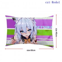 czt-Redo1