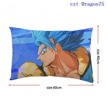 czt-Dragon75