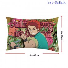 czt-Saiki4