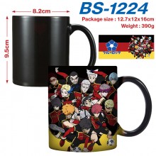 BS-1224