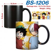 BS-1206