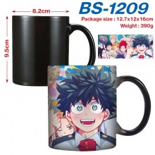 BS-1209