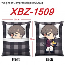 XBZ-1509