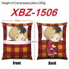 XBZ-1506