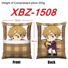 XBZ-1508