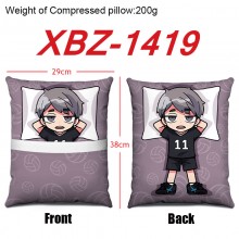 XBZ-1419