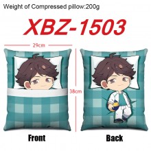XBZ-1503