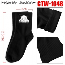CTW-1048