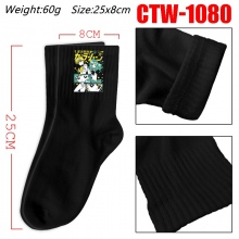 CTW-1080