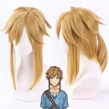 The Legend of Zelda Link game Cosplay Wig