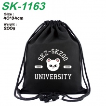 SK-1163