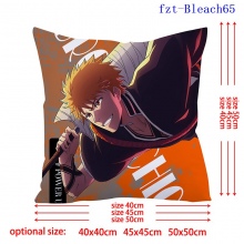 fzt-Bleach65