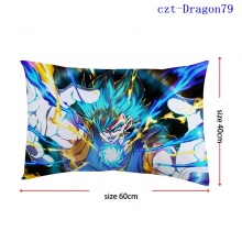 czt-Dragon79