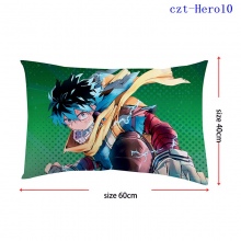 czt-Hero10