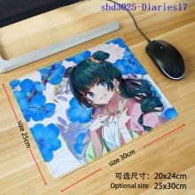 sbd3025-Diaries17