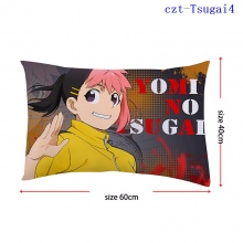 czt-Tsugai4