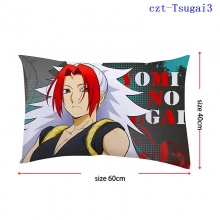czt-Tsugai3
