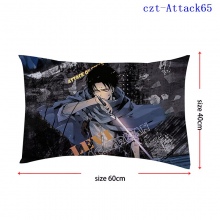 czt-Attack65
