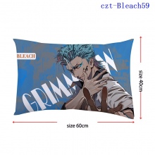 czt-Bleach59