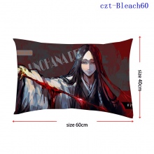 czt-Bleach60