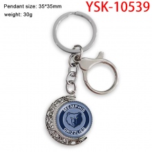 YSK-10539