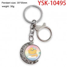 YSK-10495