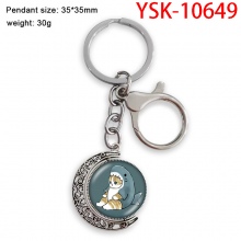 YSK-10649