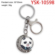 YSK-10598
